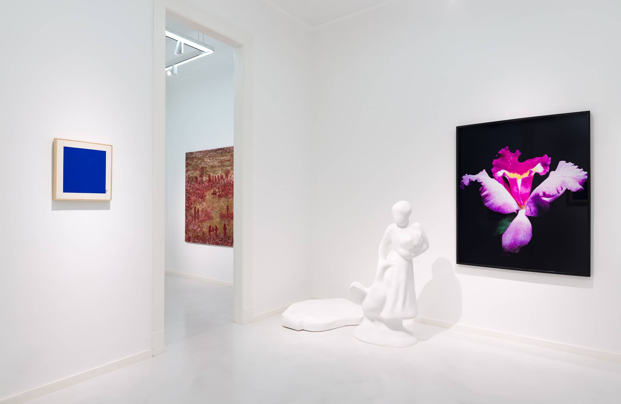 Neurocisne - MC Galeria